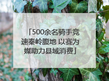 500余名骑手竞速秦岭腹地 以赛为媒助力县域消费
