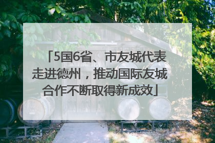 5国6省、市友城代表走进德州，推动国际友城合作不断取得新成效