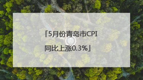 5月份青岛市CPI同比上涨0.3%