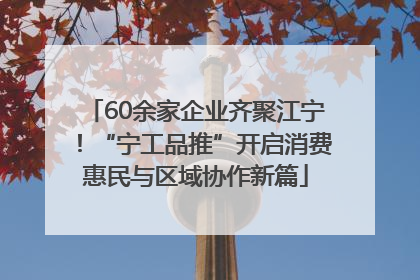 60余家企业齐聚江宁！“宁工品推”开启消费惠民与区域协作新篇