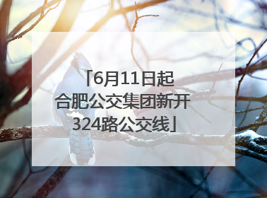 6月11日起 合肥公交集团新开324路公交线