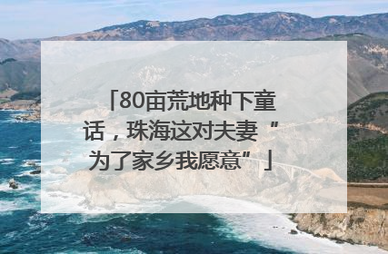80亩荒地种下童话,珠海这对夫妻“为了家乡我愿意”