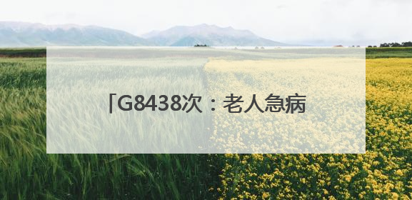 G8438次：老人急病就医不决，列车果断施救